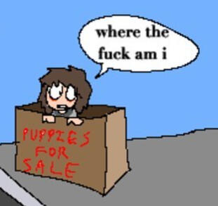 ugly ass fucking cat